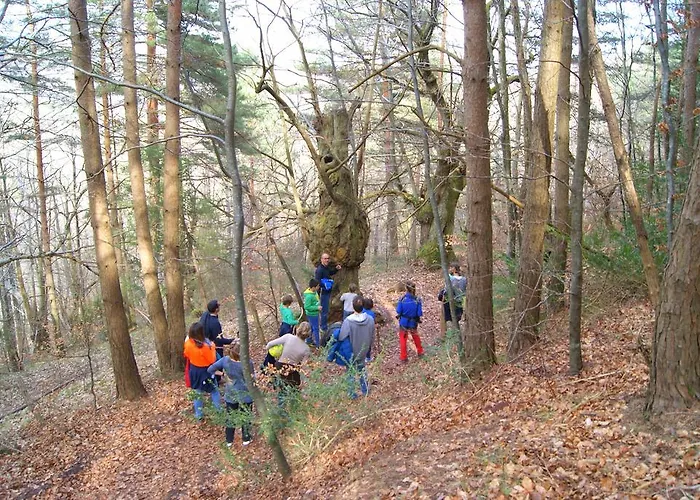 カントリーハウス La Grange *